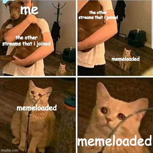 i dont know why i made this in the first place, so... i forgot my goals by making this | me; the other streams that i joined; the other streams that i joined; memeloaded; memeloaded; memeloaded | image tagged in sad cat holding dog | made w/ Imgflip meme maker