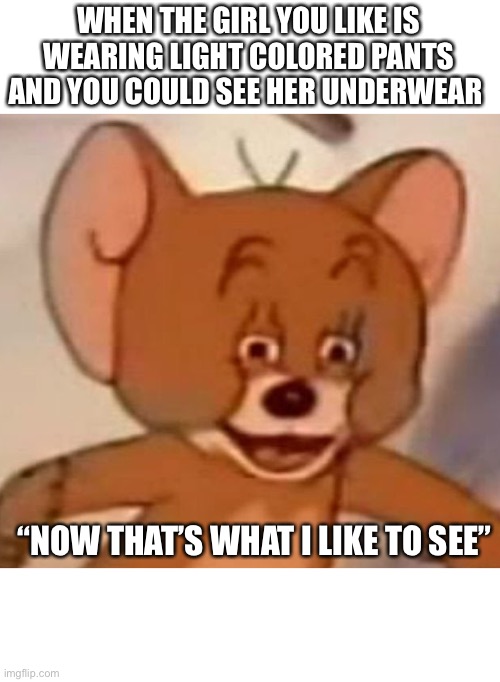 This only happend once to me | WHEN THE GIRL YOU LIKE IS WEARING LIGHT COLORED PANTS AND YOU COULD SEE HER UNDERWEAR; “NOW THAT’S WHAT I LIKE TO SEE” | image tagged in derp | made w/ Imgflip meme maker