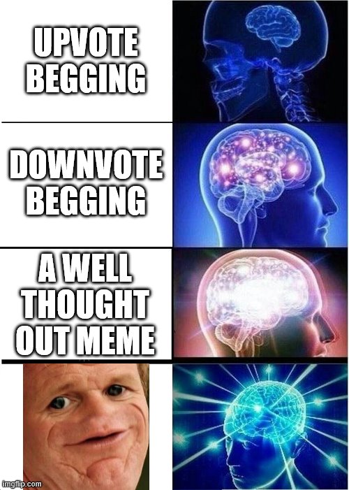 Expanding Brain Meme | UPVOTE BEGGING; DOWNVOTE BEGGING; A WELL THOUGHT OUT MEME | image tagged in memes,expanding brain | made w/ Imgflip meme maker