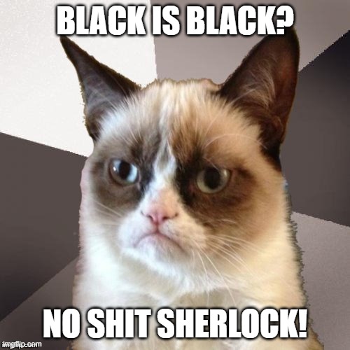 Musically Malicious Grumpy Cat | BLACK IS BLACK? NO SHIT SHERLOCK! | image tagged in musically malicious grumpy cat,grumpy cat,grumpy cat not amused | made w/ Imgflip meme maker