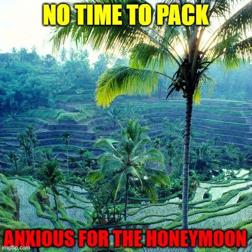 NO TIME TO PACK ANXIOUS FOR THE HONEYMOON | made w/ Imgflip meme maker