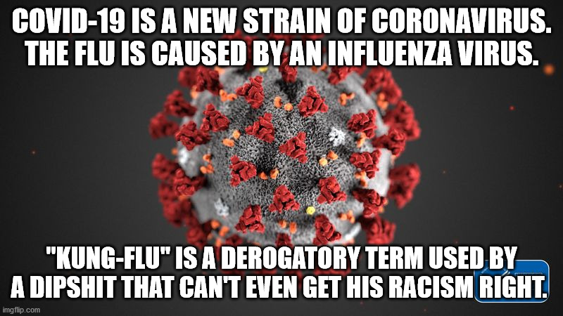 Kung-covid | COVID-19 IS A NEW STRAIN OF CORONAVIRUS.
THE FLU IS CAUSED BY AN INFLUENZA VIRUS. "KUNG-FLU" IS A DEROGATORY TERM USED BY A DIPSHIT THAT CAN'T EVEN GET HIS RACISM RIGHT. | image tagged in covid 19 | made w/ Imgflip meme maker