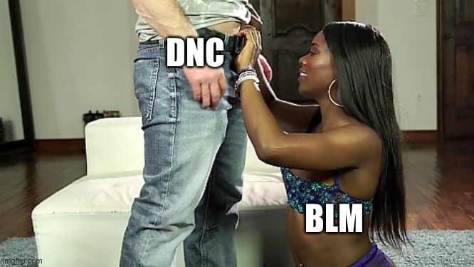 BLM & DNC | DNC; BLM | image tagged in democratic party | made w/ Imgflip meme maker