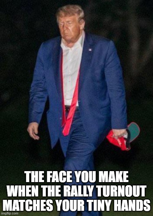 Tik Tok your time is out | THE FACE YOU MAKE
WHEN THE RALLY TURNOUT MATCHES YOUR TINY HANDS | image tagged in sad trump,memes,tulsa rally,small hands | made w/ Imgflip meme maker