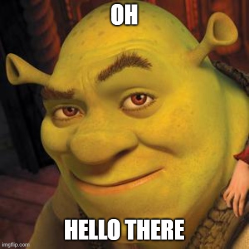 Shrek Sexy Face | OH HELLO THERE | image tagged in shrek sexy face | made w/ Imgflip meme maker
