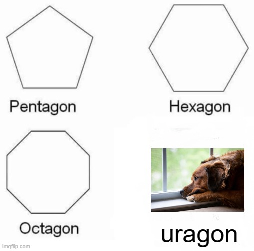 Ur a gon | uragon | image tagged in memes,pentagon hexagon octagon | made w/ Imgflip meme maker