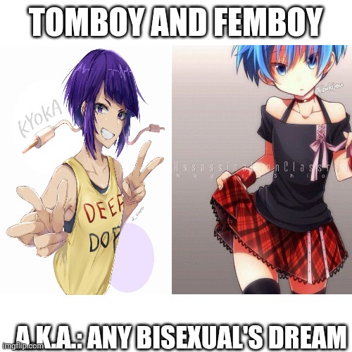 TOMBOY AND FEMBOY; A.K.A.: ANY BISEXUAL'S DREAM | image tagged in anime,my hero academia,bnha,boku no hero academia,assassination classroom,bisexual | made w/ Imgflip meme maker