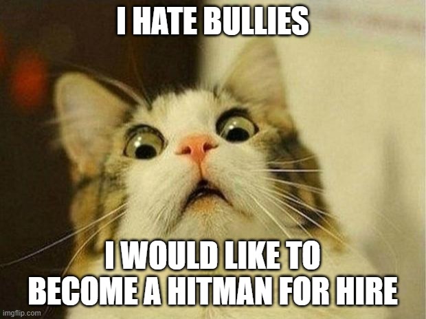 I am now becoming a hitman 4 hire |  I HATE BULLIES; I WOULD LIKE TO BECOME A HITMAN FOR HIRE | image tagged in memes,scared cat | made w/ Imgflip meme maker