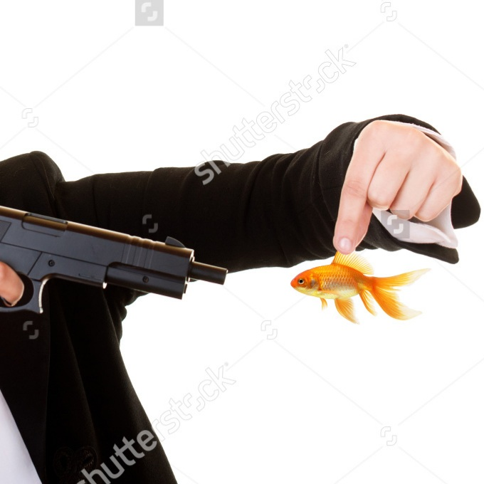 High Quality Goldfish Gun Blank Meme Template