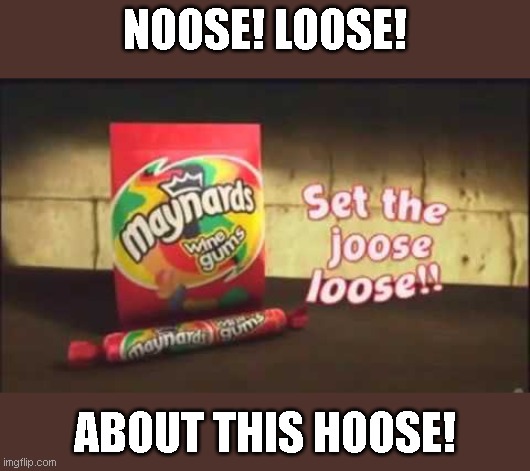 NOOSE! LOOSE! ABOUT THIS HOOSE! | made w/ Imgflip meme maker