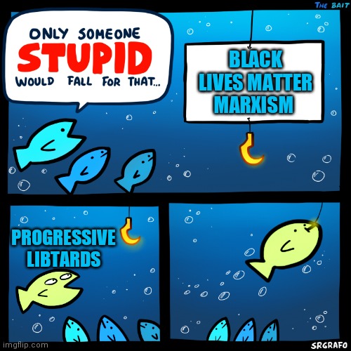 Only Someone Stupid SrGrafo | BLACK LIVES MATTER MARXISM; PROGRESSIVE LIBTARDS | image tagged in only someone stupid srgrafo | made w/ Imgflip meme maker