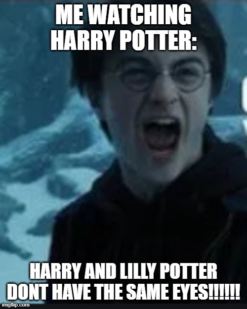 me | ME WATCHING HARRY POTTER:; HARRY AND LILLY POTTER DONT HAVE THE SAME EYES!!!!!! | image tagged in harry potter | made w/ Imgflip meme maker