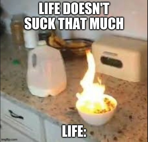 Please end this now | LIFE DOESN'T SUCK THAT MUCH; LIFE: | image tagged in kill me | made w/ Imgflip meme maker