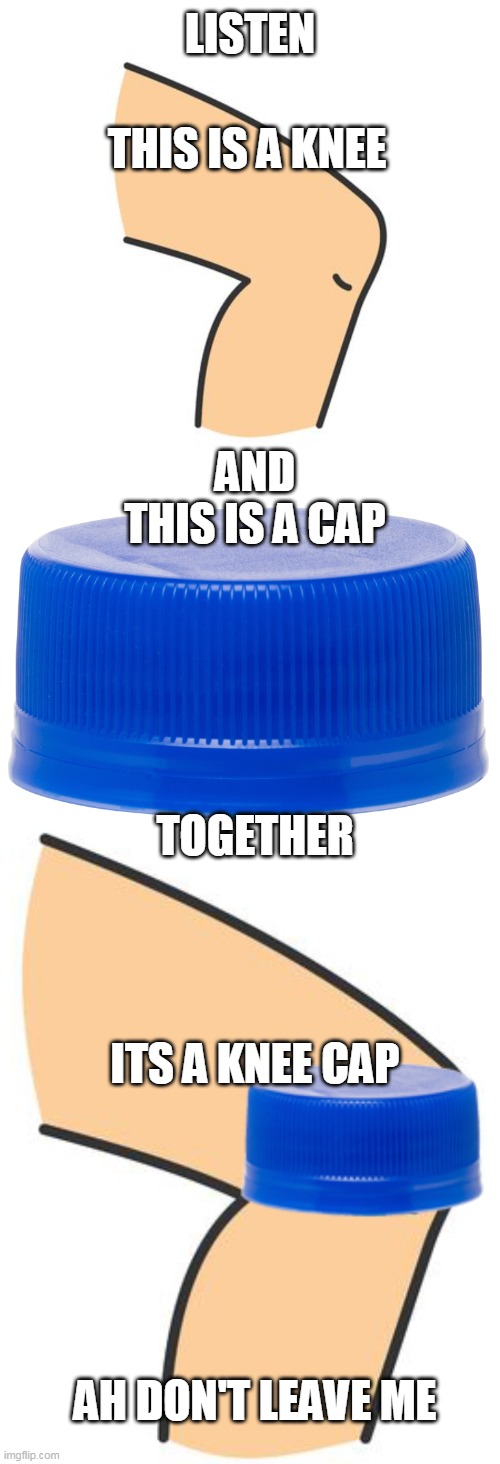 Don't Leave Me | LISTEN; THIS IS A KNEE; AND
THIS IS A CAP; TOGETHER; ITS A KNEE CAP; AH DON'T LEAVE ME | image tagged in memes,funny | made w/ Imgflip meme maker