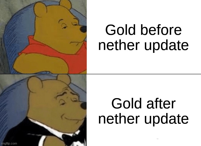 Someone probably uploaded this before but whatever | Gold before nether update; Gold after nether update | image tagged in memes,tuxedo winnie the pooh,funny memes,funny,stop reading the tags,idiot | made w/ Imgflip meme maker