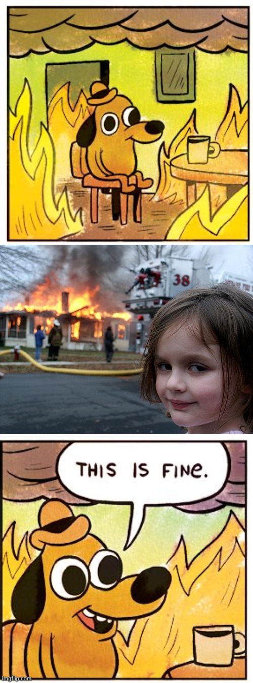 The BEST crossover in history!!! | image tagged in memes,disaster girl,this is fine,crossover,funny | made w/ Imgflip meme maker