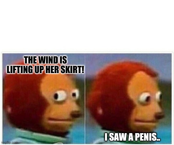 Whattttt?? | THE WIND IS LIFTING UP HER SKIRT! I SAW A PENIS.. | image tagged in memes,monkey puppet | made w/ Imgflip meme maker
