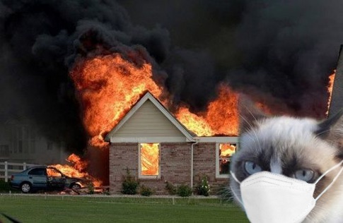 Grumpy cat masked fire Blank Meme Template