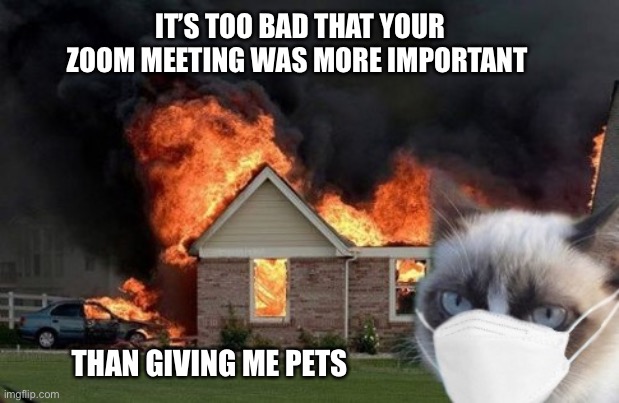 Grumpy cat masked fire | IT’S TOO BAD THAT YOUR ZOOM MEETING WAS MORE IMPORTANT; THAN GIVING ME PETS | image tagged in grumpy cat masked fire | made w/ Imgflip meme maker