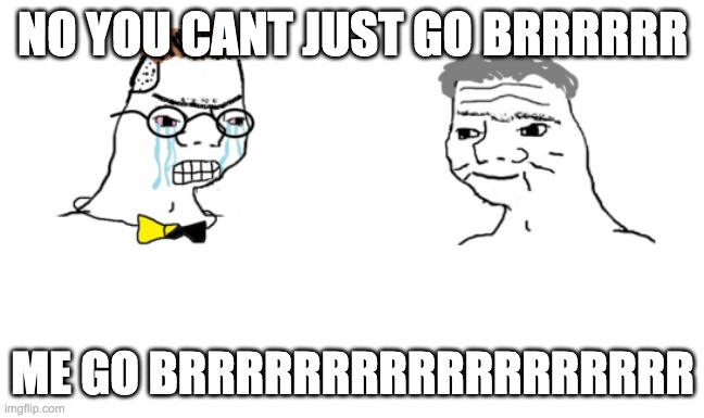 4th wall break | NO YOU CANT JUST GO BRRRRRR; ME GO BRRRRRRRRRRRRRRRRRR | image tagged in noooo you can't just | made w/ Imgflip meme maker