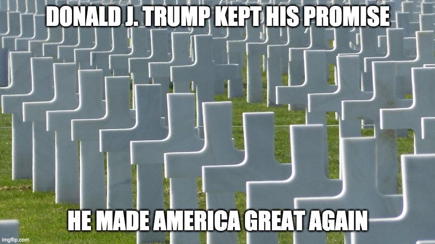 COVID-19 | DONALD J. TRUMP KEPT HIS PROMISE; HE MADE AMERICA GREAT AGAIN | image tagged in soldier cemetary | made w/ Imgflip meme maker