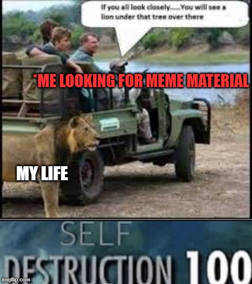 My life is a meme | *ME LOOKING FOR MEME MATERIAL; MY LIFE | image tagged in destruction 100,my life is a joke | made w/ Imgflip meme maker