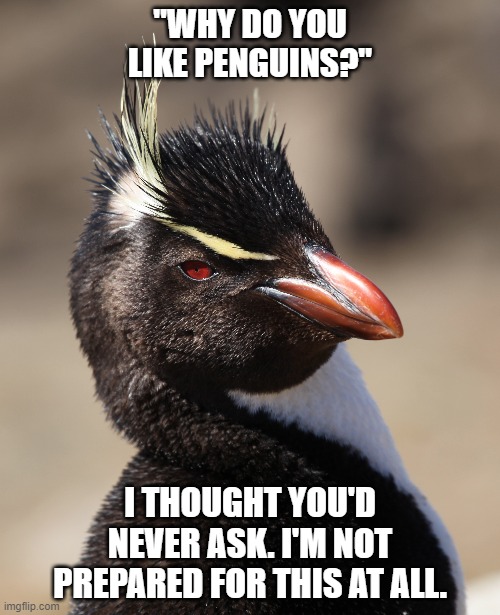 totally not prepared penguin | "WHY DO YOU LIKE PENGUINS?"; I THOUGHT YOU'D NEVER ASK. I'M NOT PREPARED FOR THIS AT ALL. | image tagged in sarcastic,not prepared,totally prepared,glad you asked,thanks for asking,penguin | made w/ Imgflip meme maker