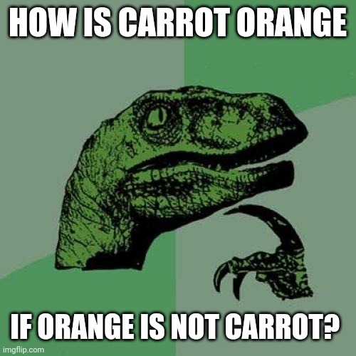 Philosoraptor Meme | HOW IS CARROT ORANGE; IF ORANGE IS NOT CARROT? | image tagged in memes,philosoraptor,orange,carrot | made w/ Imgflip meme maker