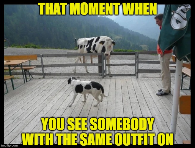 I've seen girls do this at night clubs, SO hilarious! | THAT MOMENT WHEN; YOU SEE SOMEBODY WITH THE SAME OUTFIT ON | image tagged in funny,fashion,clothing,cows,funny dogs,clubbing | made w/ Imgflip meme maker