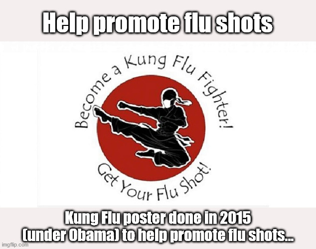 Obama's Kung Flu poster | Help promote flu shots; Kung Flu poster done in 2015 (under Obama) to help promote flu shots... | image tagged in obama,kung flu,election,trump | made w/ Imgflip meme maker