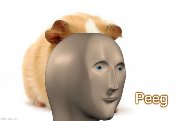 Peeg | made w/ Imgflip meme maker