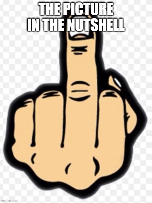 middle finger | THE PICTURE IN THE NUTSHELL | image tagged in middle finger | made w/ Imgflip meme maker