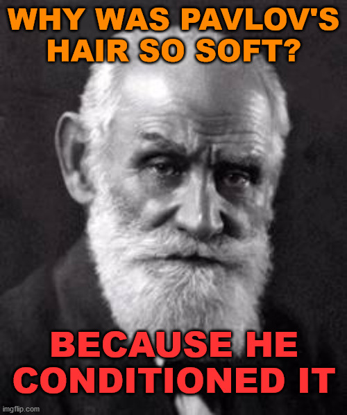 Does this ring any bells? | WHY WAS PAVLOV'S HAIR SO SOFT? BECAUSE HE CONDITIONED IT | image tagged in ivan pavlov,shampoo | made w/ Imgflip meme maker