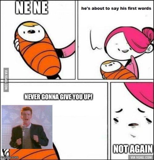 You know the rules and so do I... | NE NE; NEVER GONNA GIVE YOU UP! NOT AGAIN | image tagged in he is about to say his first words | made w/ Imgflip meme maker