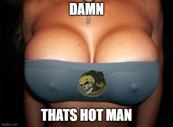 big boobs | DAMN THATS HOT MAN | image tagged in big boobs | made w/ Imgflip meme maker