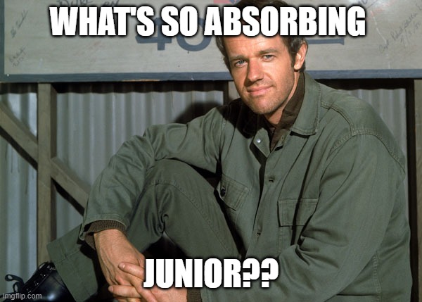 Mash 4077th | WHAT'S SO ABSORBING; JUNIOR?? | image tagged in whats so absorbing junior | made w/ Imgflip meme maker