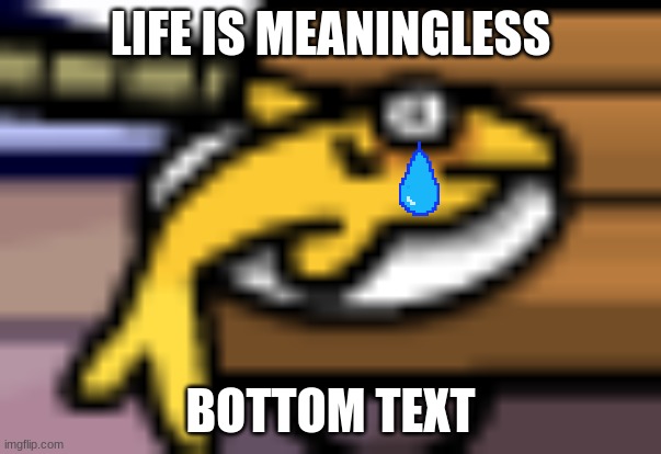 New Format | LIFE IS MEANINGLESS; BOTTOM TEXT | image tagged in dead club penguin fish | made w/ Imgflip meme maker