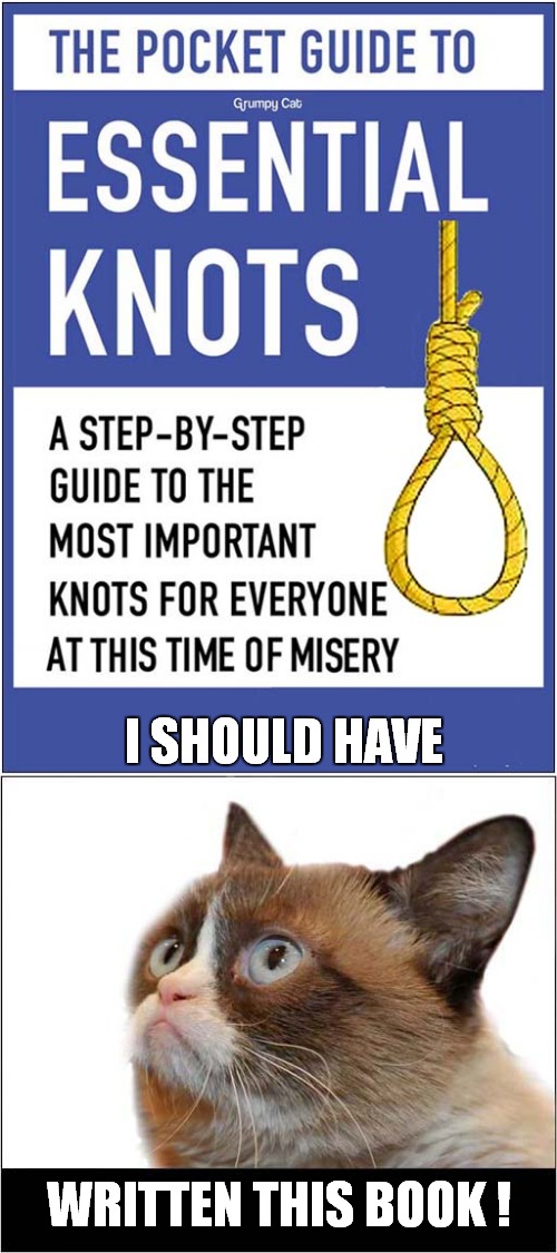 Grumpys Essential Knots | I SHOULD HAVE; WRITTEN THIS BOOK ! | image tagged in fun,grumpy cat,books,noose | made w/ Imgflip meme maker