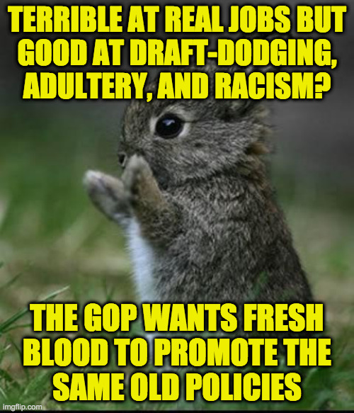 The GOP.  Evil.  Comfortable. Consistent. | TERRIBLE AT REAL JOBS BUT
GOOD AT DRAFT-DODGING, ADULTERY, AND RACISM? THE GOP WANTS FRESH
BLOOD TO PROMOTE THE
SAME OLD POLICIES | image tagged in cute bunny,memes,get involved,gop | made w/ Imgflip meme maker