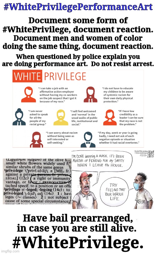 WhitePrivilegePerformanceArt | #WhitePrivilegePerformanceArt; Document some form of #WhitePrivilege, document reaction. Document men and women of color doing the same thing, document reaction. When questioned by police explain you are doing performance art.  Do not resist arrest. Have bail prearranged, in case you are still alive. #WhitePrivilege. | image tagged in white privilege | made w/ Imgflip meme maker