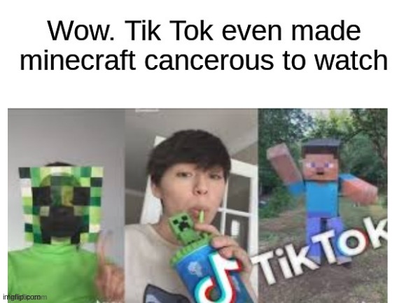 Minecraft was massacered by Tik Tok | image tagged in blank white template,minecraft,tik tok | made w/ Imgflip meme maker