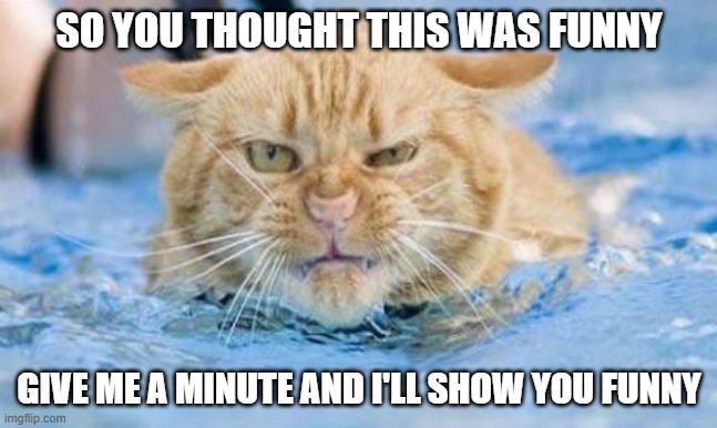 Funny? | SO YOU THOUGHT THIS WAS FUNNY; GIVE ME A MINUTE AND I'LL SHOW YOU FUNNY | image tagged in memes,cats,funny,funny memes | made w/ Imgflip meme maker