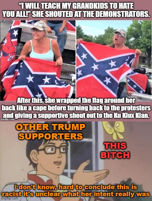 Hmmm I dunno we can't reach any firm conclusions | THIS BITCH; OTHER TRUMP SUPPORTERS; i don't know, hard to conclude this is racist it's unclear what her intent really was | image tagged in is this a pigeon,trump supporters,conservative logic,racists,racist,racism | made w/ Imgflip meme maker