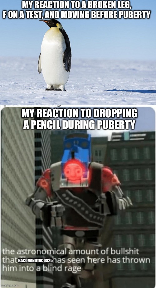 MY REACTION TO A BROKEN LEG, F ON A TEST, AND MOVING BEFORE PUBERTY; MY REACTION TO DROPPING A PENCIL DURING PUBERTY; BACONANDTACOS25 | image tagged in thw indifferent pengine,the astronomical amount of bullshit that thomas has seen here | made w/ Imgflip meme maker