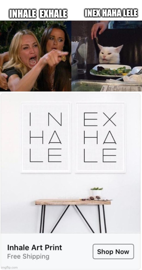  INEX HAHA LELE; INHALE  EXHALE | image tagged in memes,woman yelling at cat | made w/ Imgflip meme maker