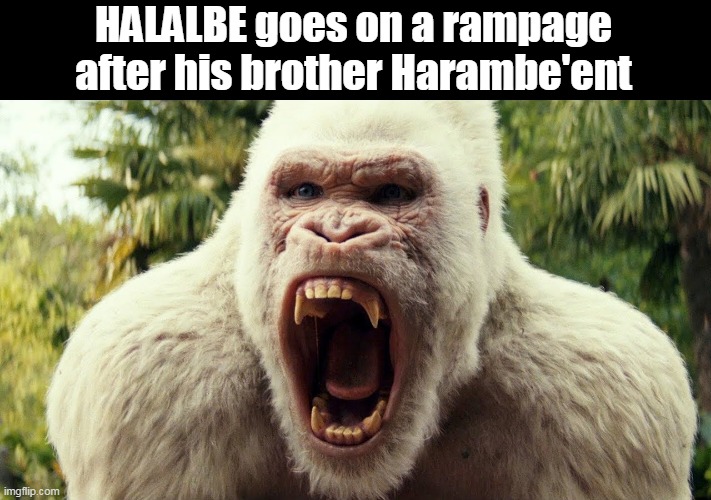 Rampage | HALALBE goes on a rampage after his brother Harambe'ent | image tagged in memes | made w/ Imgflip meme maker