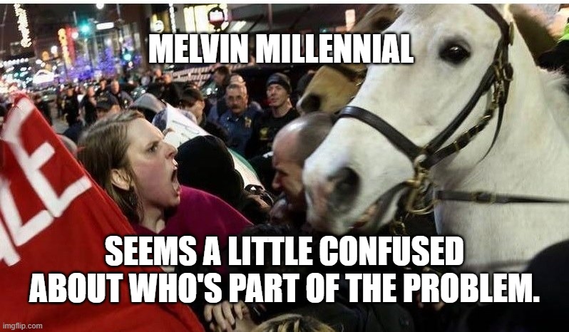 protestor horse | MELVIN MILLENNIAL; SEEMS A LITTLE CONFUSED ABOUT WHO'S PART OF THE PROBLEM. | image tagged in protestor horse | made w/ Imgflip meme maker