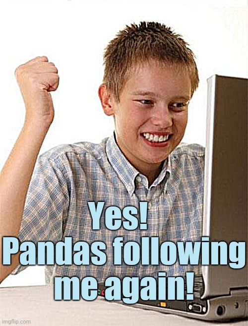 First Day On The Internet Kid Meme | Yes!   Pandas following me again! | image tagged in memes,first day on the internet kid | made w/ Imgflip meme maker