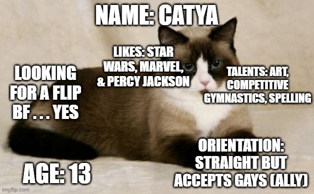 looking.... | NAME: CATYA; LIKES: STAR WARS, MARVEL, & PERCY JACKSON; TALENTS: ART, COMPETITIVE GYMNASTICS, SPELLING; LOOKING FOR A FLIP BF . . . YES; ORIENTATION: STRAIGHT BUT ACCEPTS GAYS (ALLY); AGE: 13 | image tagged in cat,taken | made w/ Imgflip meme maker