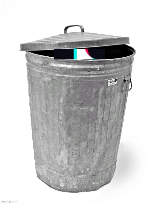 Do you see a tik tok in trash | image tagged in trash can | made w/ Imgflip meme maker